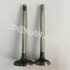 Silvery &amp;amp; Black P40 Nissan Intake and Exhaust Valve 13202-58000 13202-58002
