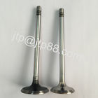 Silvery &amp;amp; Black P40 Nissan Intake and Exhaust Valve 13202-58000 13202-58002
